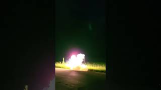 Girandola spinning firework shorts pyro fireworks [upl. by Nalid]