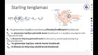 40 Buyraklar funksiyasi [upl. by Ennaul]