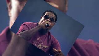 quotRapper Fatman Scoop Collapses on Stage During Performance Medical Emergency Updatequot [upl. by Nileak]