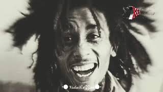 DJ 38K BEST OF BOB MARLEY [upl. by Nnairda]