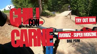 Chill Con Carne  Avoriaz  Super Morzine  Chatel  bike park [upl. by Uyr]