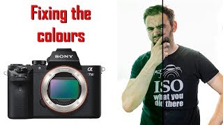 Fixing the colour settings on the Sony A7III [upl. by Tutankhamen654]