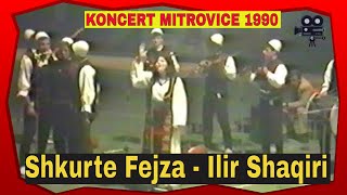 Koncerti ne Mitrovice 1990  Shkurte Fejza amp Ilir Shaqiri etj [upl. by Elayne614]