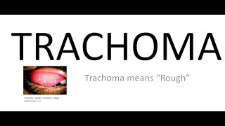 Ophthalmology 076 a Trachoma What is Chlamydial Trachomatis Conjunctivitis [upl. by Apfel]