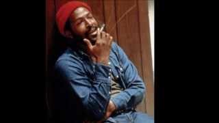 Marvin Gaye  Sanctified Lady [upl. by Borlase]