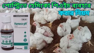 হেমিকো পিএইচ খাওয়ানোর নিয়ম।HamecoPH রোগের লক্ষন।আদর্শপোল্ট্রিফার্ম। ২০২৪। [upl. by Femmine]