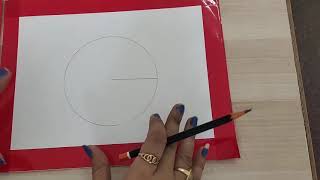 Class 8 how to draw a Pie chart [upl. by Robi]