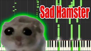 Sad Hamster but its MIDI Auditory Illusion  Sad Hamster Piano sound [upl. by Atsugua576]