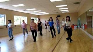 D H S S Line Dance Demo amp Walk Through [upl. by Aztinay]