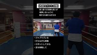 【Angle】角度を付けた攻撃【boxing】 [upl. by Lanahtan]