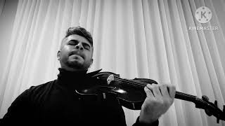 Sting Fragile  Ricardo Pardal Ribas violin cover 🎻 [upl. by Airamahs]