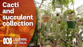 A cacti and succulent collectors garden  Garden Design and Inspiration  Gardening Australia [upl. by Rammaj962]