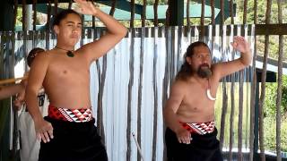 NouvelleZélande  haka chant maori [upl. by Etnauj]