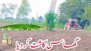 Hum Nay Ghaas Kaasht Kar Diya  Pakistan Village Life  Punjab Village FamilyHussain Village Vlogs [upl. by Web]