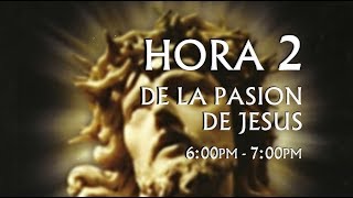 02 de 24 I Horas de la Pasión de Jesús Luisa Piccarreta Divina Voluntad [upl. by Vargas]