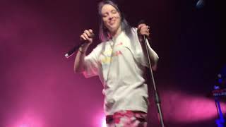 Billie Eilish  idontwannabeyouanymore  Live in Korea 빌리 아일리시 내한 20180815 [upl. by Anyr]