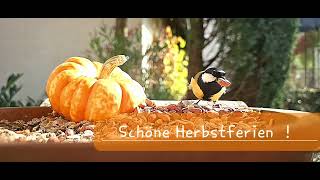 Schöne Herbstferien [upl. by Nesnaj46]