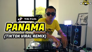 Panama TikTok Viral Danger Disco  Dj Sandy Remix [upl. by Fitalludba]