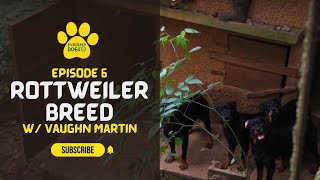 Purebred Dogs Ja Episode 6 Rottweiler Vaughn Martin [upl. by Auj]