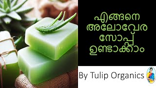 എങ്ങനെ അലോവേര സോപ്പ് ഉണ്ടാക്കാം [upl. by Aysa]