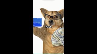 3 Hilarious Bank Facts You Won’t Believe 😂 Facts with Mr Potato facts funfacts funnyfacts [upl. by Durning]