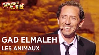 Gad Elmaleh  Les animaux  Marrakech du rire 2011 [upl. by Steel900]