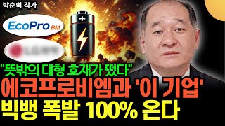 quot뜻밖의 대형 호재가 떴다quot 에코프로비엠과 이 기업 빅뱅 폭발 100 온다 박순혁 작가  2부 [upl. by Noiramed]