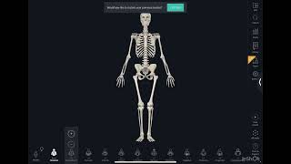 شون نحصل حساب مجاني؟ Amboss  Osmosis  complete anatomy [upl. by Chemaram724]