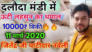 दलौदा मंडी में ऊटी लहसुन 10000₹ बिकी  Ooty Garlic Price Today  Daloda Mandi Ooty Garlic Rate Today [upl. by Flavio826]