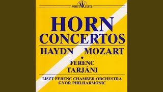 Concert Rondo for Horn and Orchestra in E Flat Major KV371 [upl. by Elocim53]