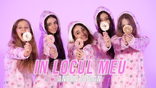 ANDRA GOGAN  IN LOCUL MEU Official Video [upl. by Olnek]