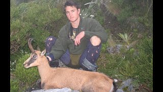 Chamois Hunting Torlesse Range Canterbury  Archive footage from 2005 [upl. by Sesiom]