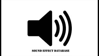 Radio Transition Sound Effect [upl. by Ttreve]