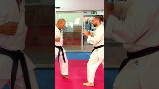 Conditioning the legs for kicking in karate [upl. by Gerladina]