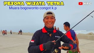 Wisata dan spots mancing TETRA muara sungai Bogowonto Congot kp [upl. by Eadahc]