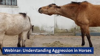 Webinar Understanding Aggression in Horses [upl. by Ssidnac]