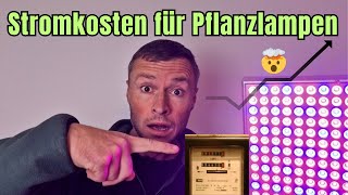 Wie teuer ist der Strom für Pflanzlampen wirklich 💸🌱 [upl. by Nitas]