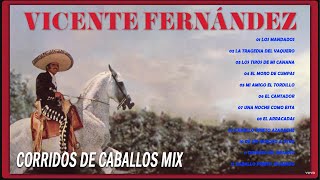 VICENTE FERNANDEZ PUROS CORRIDOS DE CABALLOS MIX 🔥 VICENTE FERNANDEZ LAS MEJORES RANCHERAS [upl. by Orelia]