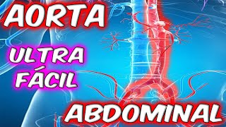 ENTENDÉ ESTE TEMA  GUÍA DE LA AORTA ABDOMINAL😱😱 [upl. by Anuat]