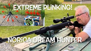 Out plinking with the Norica Dream Hunter amp ATFLBOX steel targets [upl. by Lucic]