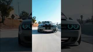 car bmw noha shortvideos youtubeshorts ytshorts youtube reels viralvideos viralshorts [upl. by Nylcsoj562]