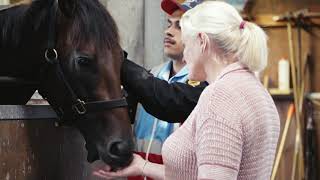 NZ 2000 Guineas Savaglee [upl. by Curry]