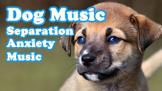 Deep Sleep Music For Dogs Cure Separation Anxiety amp Calming Stress Relief For Dogs [upl. by Nahtnanhoj]