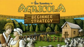 Agricola🌾 Strategy for Beginners [upl. by Anniken41]