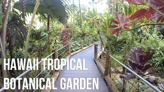 Hawaii Tropical Botanical Garden  Virtual Tour [upl. by Sidonie923]