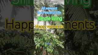 All we want is a Peaceful Life peace life simple living happy moments metime finance shorts [upl. by Ozmo326]