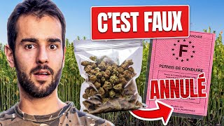 TOP 7 DES IDÉES REÇUES SUR LE CBD [upl. by Anilag]