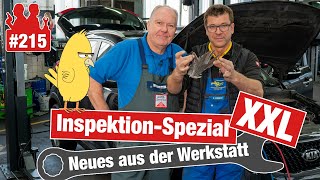 Ein Vogel im Kia 😳 InspektionSpezial XXL  DAS gehört alles zu einer guten Wartung [upl. by Rivy]