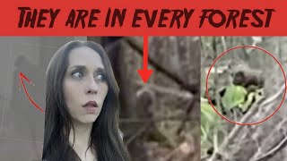 MOST COMPELLING BIGFOOT EVIDENCE so far [upl. by Alasteir]