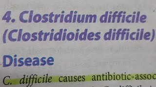 Clostridium Difficile  MICROBIOLOGY [upl. by Panthia]